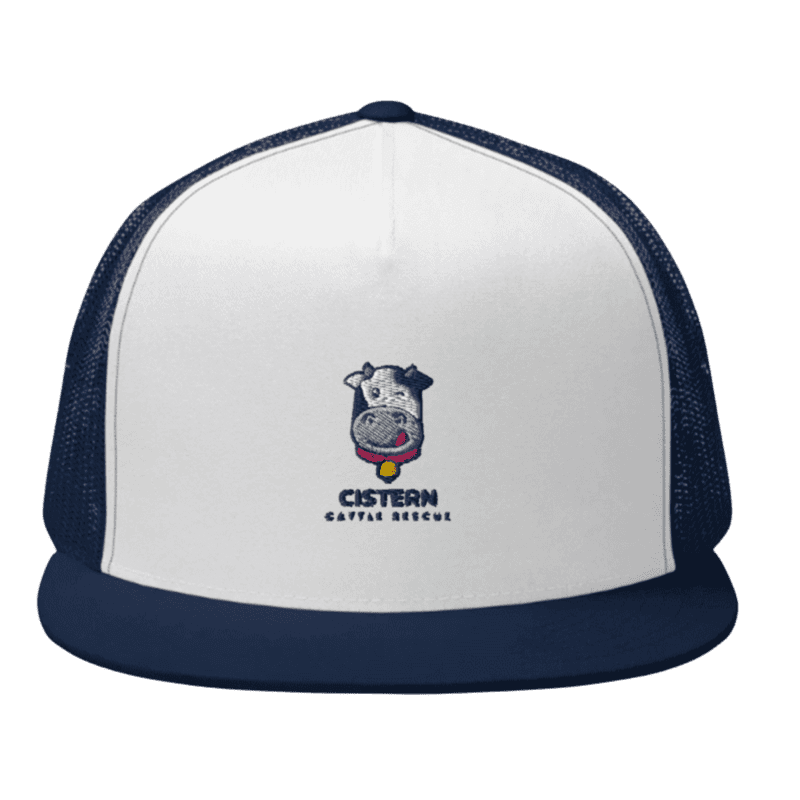 Embroidered Trucker Hat