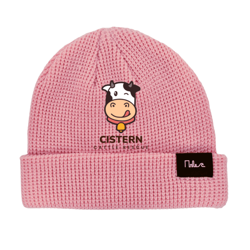 Pink Embroidered Beanie Pink Embroidered Beanie