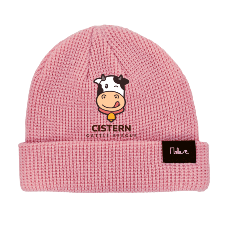 Pink Embroidered Beanie